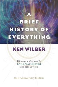 bokomslag Brief History of Everything (20th Anniversary Edition)