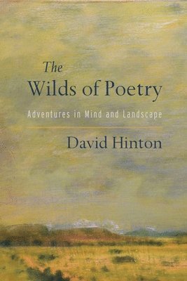 bokomslag The Wilds of Poetry