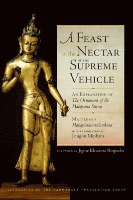 bokomslag Feast of the Nectar of the Supreme Vehicle