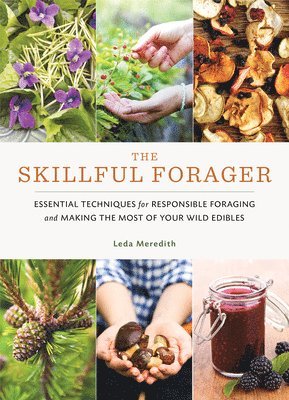 bokomslag Skillful Forager