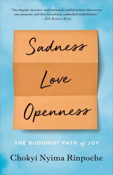 bokomslag Sadness, Love, Openness