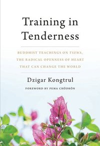 bokomslag Training in Tenderness