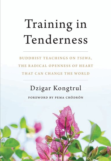 Dzigar Kongtrul - Training in Tenderness, Häftad