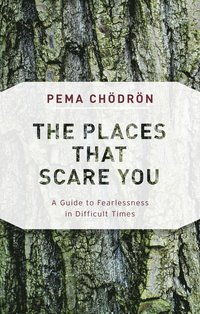 bokomslag Places That Scare You