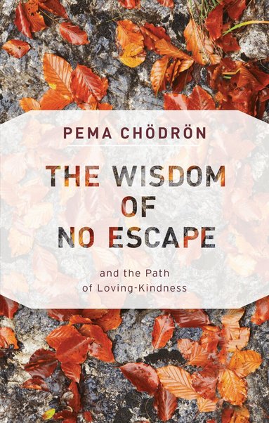 Pema Chodron - Wisdom of No Escape, Häftad