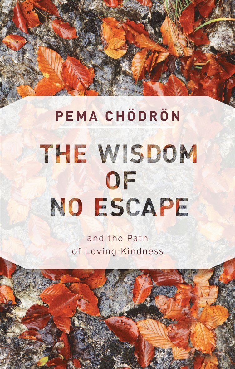 Pema Chodron - Wisdom of No Escape, Häftad