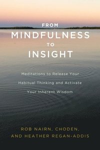 bokomslag From Mindfulness to Insight