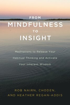 bokomslag From Mindfulness to Insight