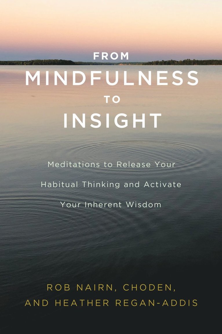 From Mindfulness to Insight