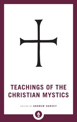 bokomslag Teachings of the Christian Mystics