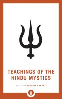 bokomslag Teachings of the Hindu Mystics