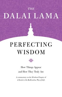 bokomslag Perfecting Wisdom