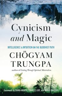 bokomslag Cynicism and Magic