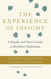 bokomslag Experience of Insight