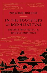 bokomslag In the Footsteps of Bodhisattvas