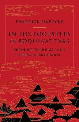 bokomslag In the Footsteps of Bodhisattvas