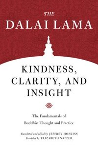bokomslag Kindness, Clarity, and Insight