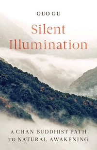 bokomslag Silent Illumination