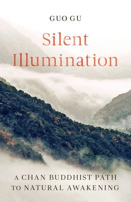 Silent Illumination 1