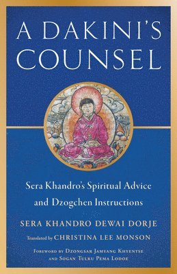 bokomslag Dakini's Counsel