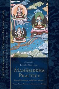 bokomslag Mahasiddha Practice