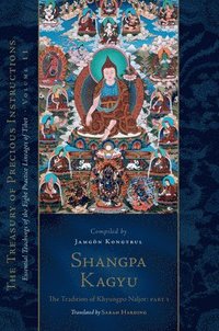 bokomslag Shangpa Kagyu: The Tradition of Khyungpo Naljor, Part One