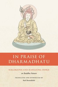 bokomslag In Praise of Dharmadhatu