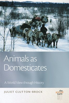 Juliet Clutton-Brock - Animals as Domesticates, Inbunden