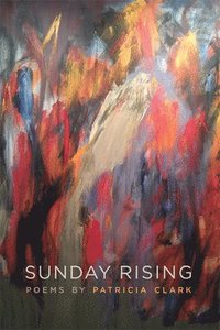 bokomslag Sunday Rising