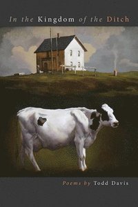 bokomslag In the Kingdom of the Ditch