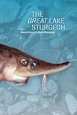 bokomslag The Great Lake Sturgeon