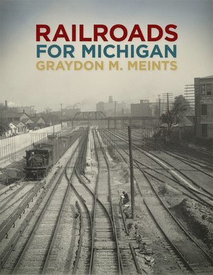 bokomslag Railroads for Michigan