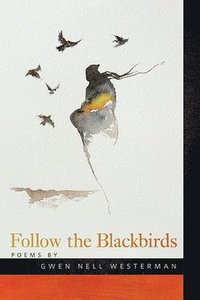 bokomslag Follow the Blackbirds