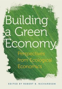 bokomslag Building a Green Economy