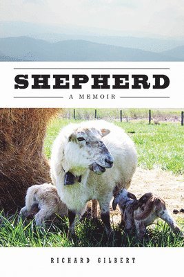 bokomslag Shepherd: A Memoir