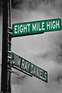 bokomslag Eight Mile High