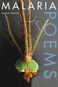 bokomslag Malaria, Poems