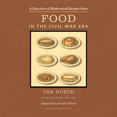 bokomslag Selection of Modernized Recipes from Food in the Civil War