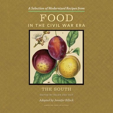 bokomslag Selection of Modernized Recipes from Food in the Civil War