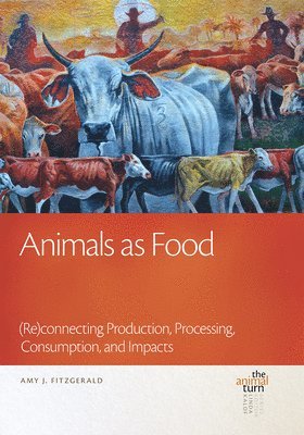 bokomslag Animals as Food