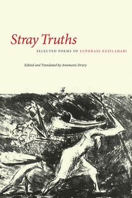 bokomslag Stray Truths
