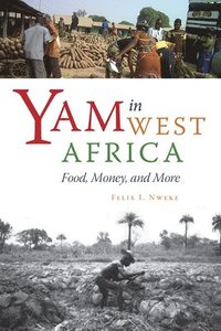 bokomslag Yam in West Africa