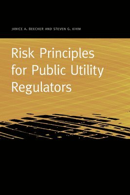 bokomslag Risk Principles for Public Utility Regulators