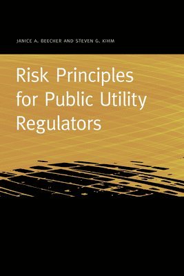 Risk Principles for Public Utility Regulators 1