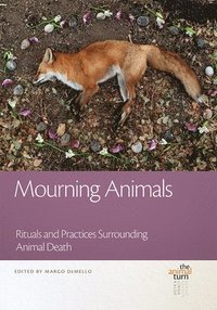 bokomslag Mourning Animals
