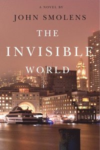 bokomslag Invisible World