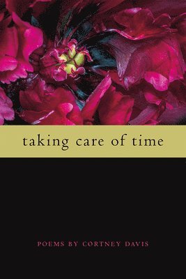 bokomslag Taking Care of Time