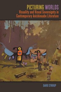 bokomslag Picturing Worlds
