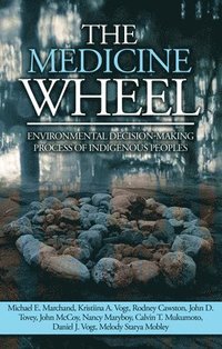 bokomslag Medicine Wheel