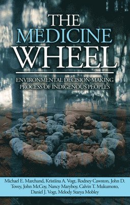 bokomslag Medicine Wheel